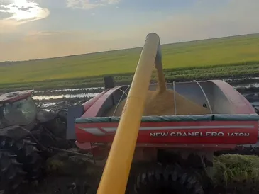 Cosecha y poscosecha